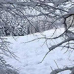 Kuestelblick 度假居 *