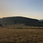 Kuestelblick * 梅德巴赫