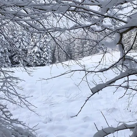 Kuestelblick Prázdninový dům *
