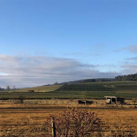 Holiday home Kuestelblick *