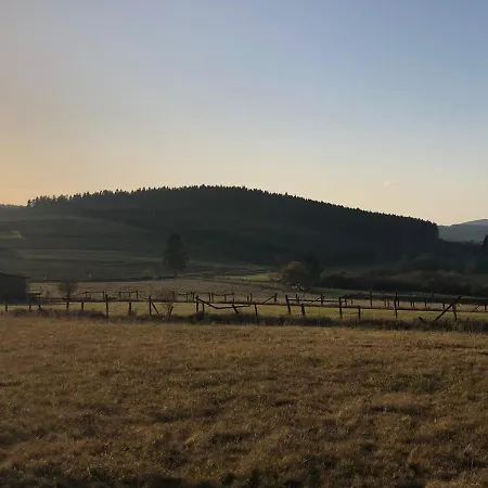 Kuestelblick * Medebach