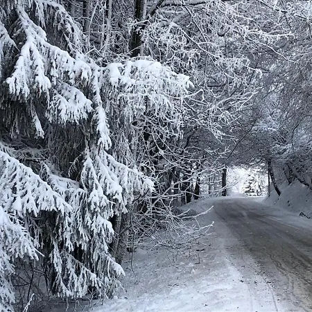 Kuestelblick Prázdninový dům