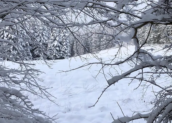 Kuestelblick Holiday home *