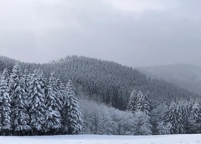 Holiday home Kuestelblick