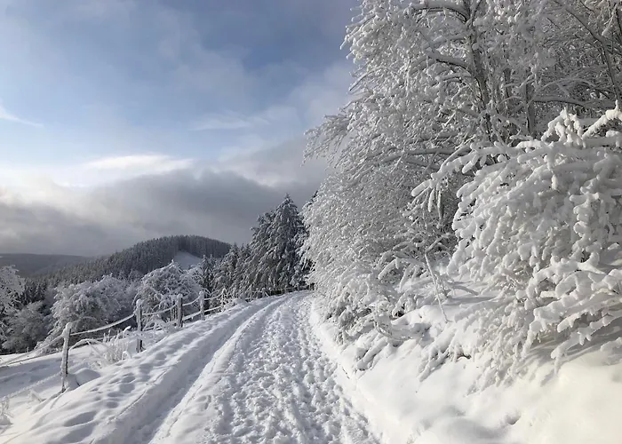 Hébergement de vacances Kuestelblick