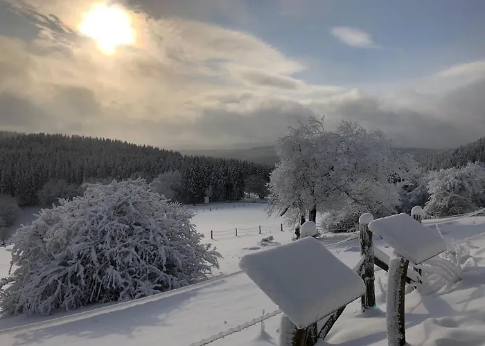 Kuestelblick * Medebach