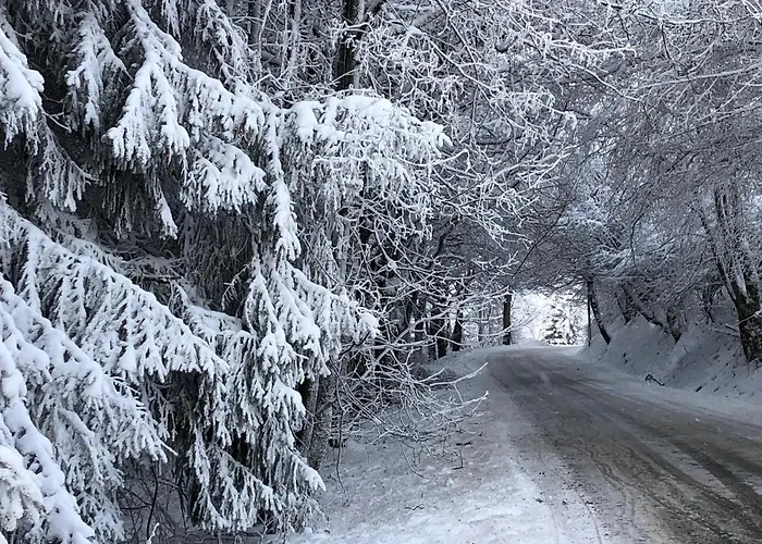 Küstelblick Сasa de vacaciones